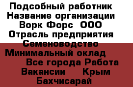 Подсобный работник › Название организации ­ Ворк Форс, ООО › Отрасль предприятия ­ Семеноводство › Минимальный оклад ­ 30 000 - Все города Работа » Вакансии   . Крым,Бахчисарай